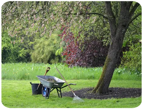 Entretien parc et jardin Saint Georges de Didonne Royan Entretien parc et jardin Saint Georges de Didonne Royan